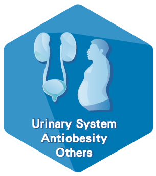 Urinary System,Anti-obesity and Others