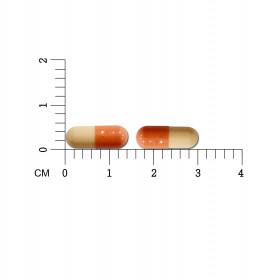 B 1 6 12 Capsules